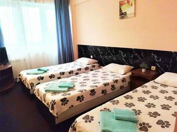 Трехместный номер в Гостинице Небеса